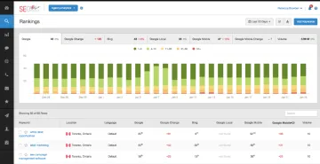 Miniatura AgencyAnalytics SEO