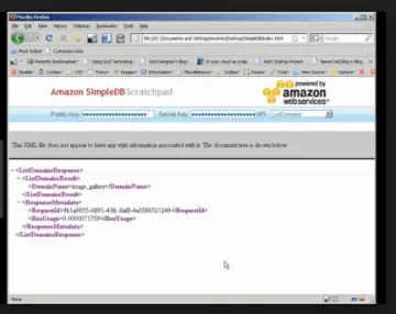 Miniatura Amazon SimpleDB