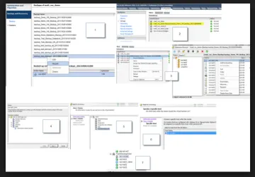 Miniatura NetApp Backup Backup